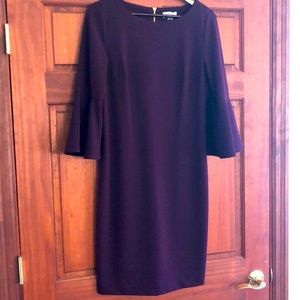 Beautiful Plum/Burgundy  Calvin Klein dress